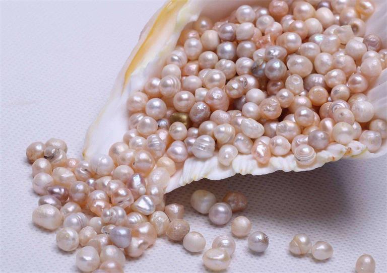加快制修订行业标准 让珍珠蚌“真的棒”